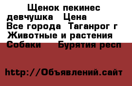 Щенок пекинес девчушка › Цена ­ 2 500 - Все города, Таганрог г. Животные и растения » Собаки   . Бурятия респ.